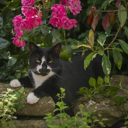 펜션 Church Farm Wilton (North Yorkshire)