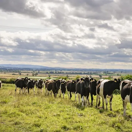 Hébergement de vacances Church Farm